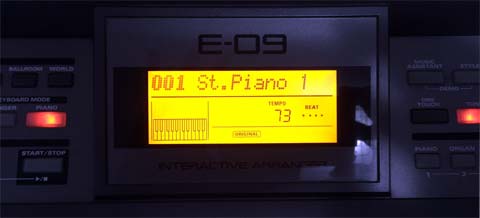 Arranger Roland E-09