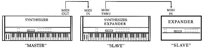 MIDI connessione Thru